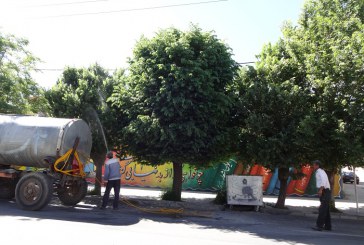 سم پاشی و مبارزه با آفات درختان در سطح شهر