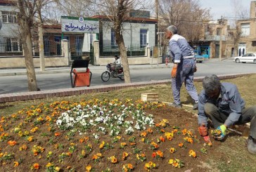 با کاشت گل‌های بهاری؛ مریانج به استقبال سال نو می‌رود